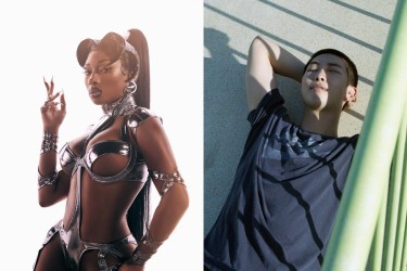 Megan Thee Stallion and RM